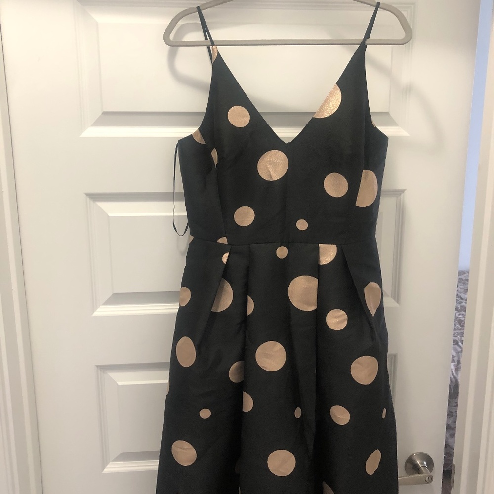 1901 Size 10 Dress